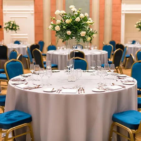 Saski Curio Collection By Hilton