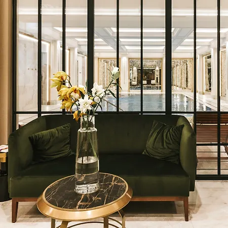 Saski Curio Collection By Hilton